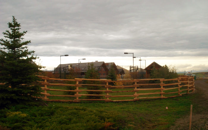 10' rails lagged onto 10' posts