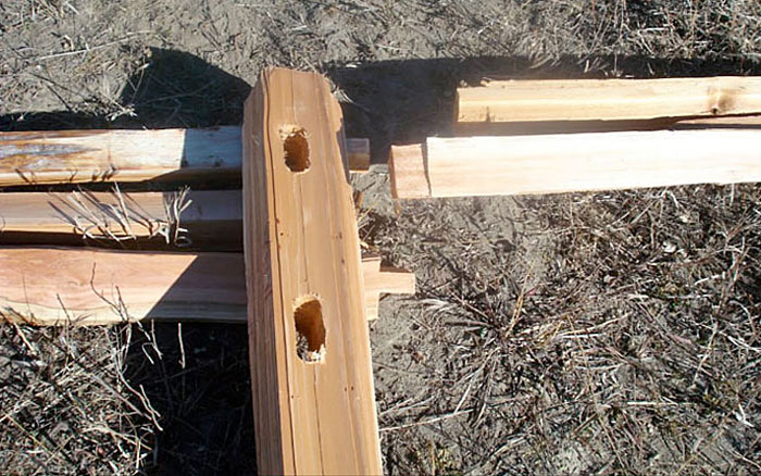 PreDrilled Posts
